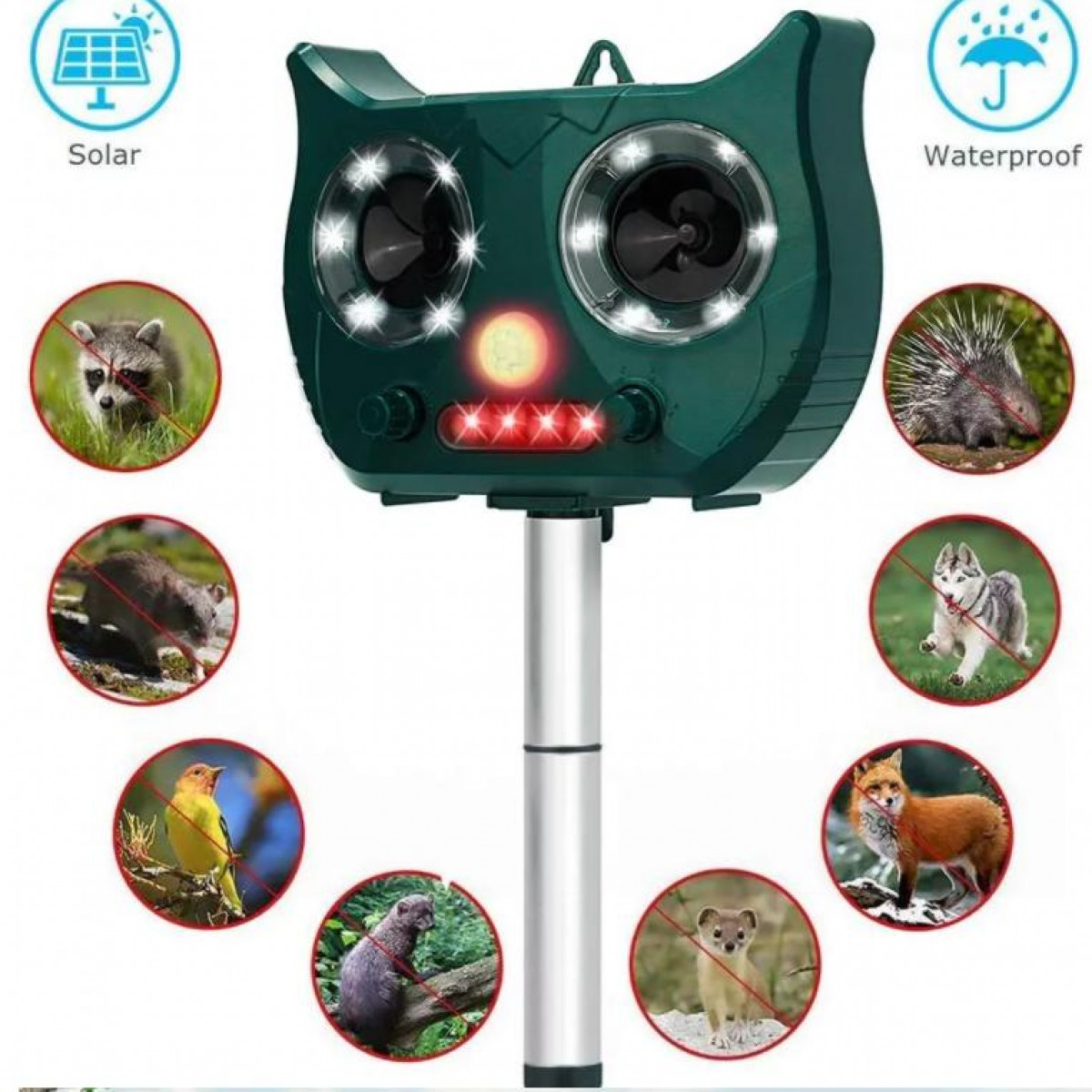 Grünes eulenartiges Gerät. Es hat ein Solarpanel, einen Sensor und mehrere Tier-Icons drumherum.