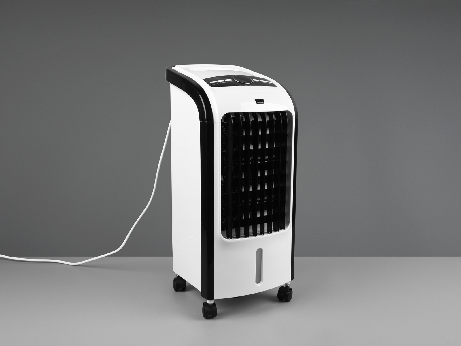(80 Wasser mit Watt) Fernbedienung LEUCHTEN Standventilator REALITY Weiß Luftkühler