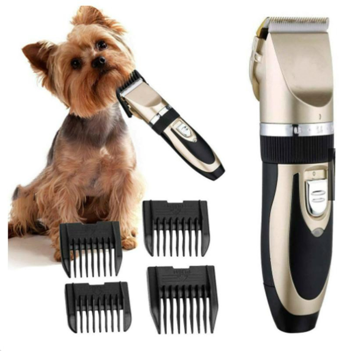 Pies jest pielęgnowany maszynką. Maszynka i osłony po prawej.