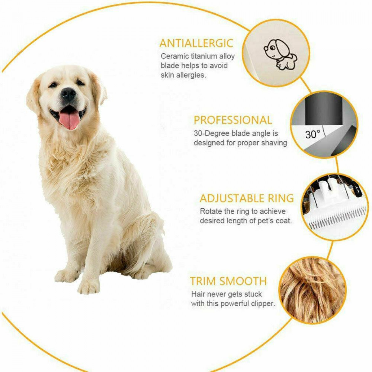 Golden retriever z tekstem: antyalergiczny, profesjonalny, regulowany pierścień, przycinanie gładko.