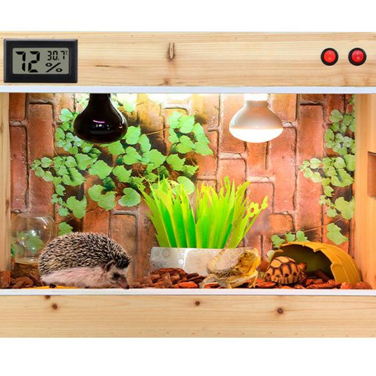Drewniane terrarium z jeżem, jaszczurką i żółwiem, ze światłami i dekoracjami.