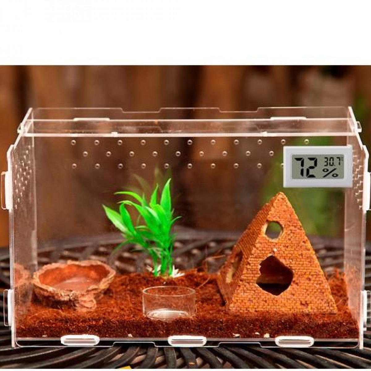 Ein klares Terrarium mit braunem Substrat, Dekorationen und einem digitalen Thermometer.