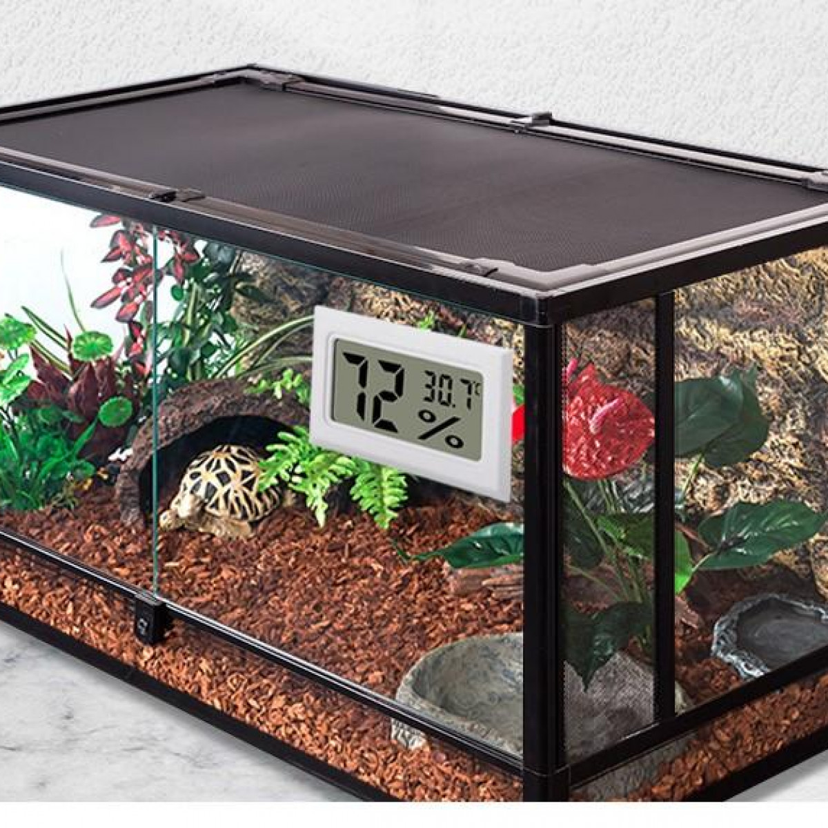 Ein Terrarium mit Reptil, Digitalthermometer und dekorativen Elementen.