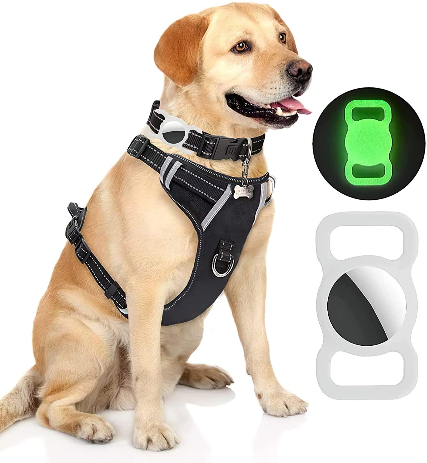 Gelber Labrador-Hund mit schwarzem Geschirr und AirTag-Halter. Weißer Hintergrund.