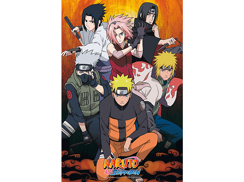 Naruto Shippuden - Group