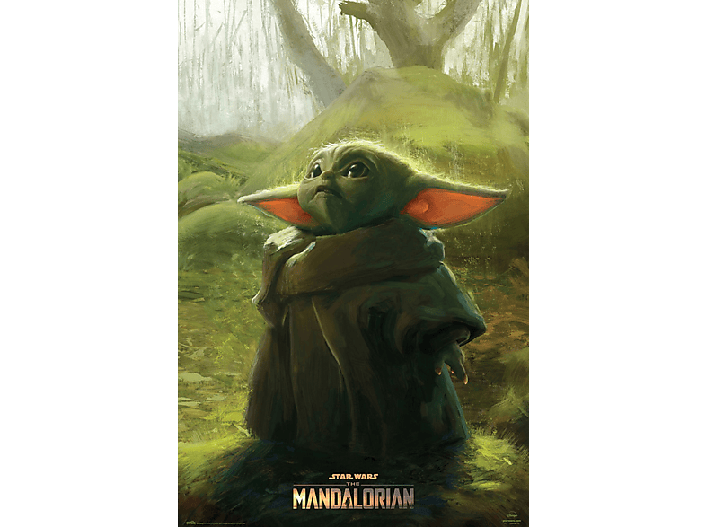 The Mandalorian - - The Child Wars Star