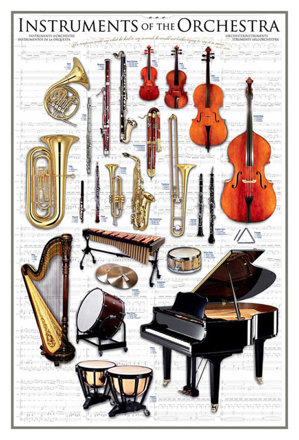 the Instruments Musikinstrumente - - Educational Bildung of Orchestra
