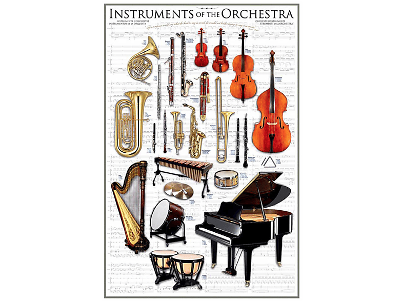 Educational Orchestra - Bildung of Instruments Musikinstrumente the -