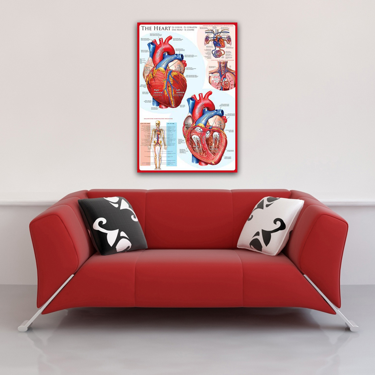 Anatomie-Poster des Herzens an einer roten Wand. Darunter eine rote Couch mit zwei schwarz-weißen Kissen.