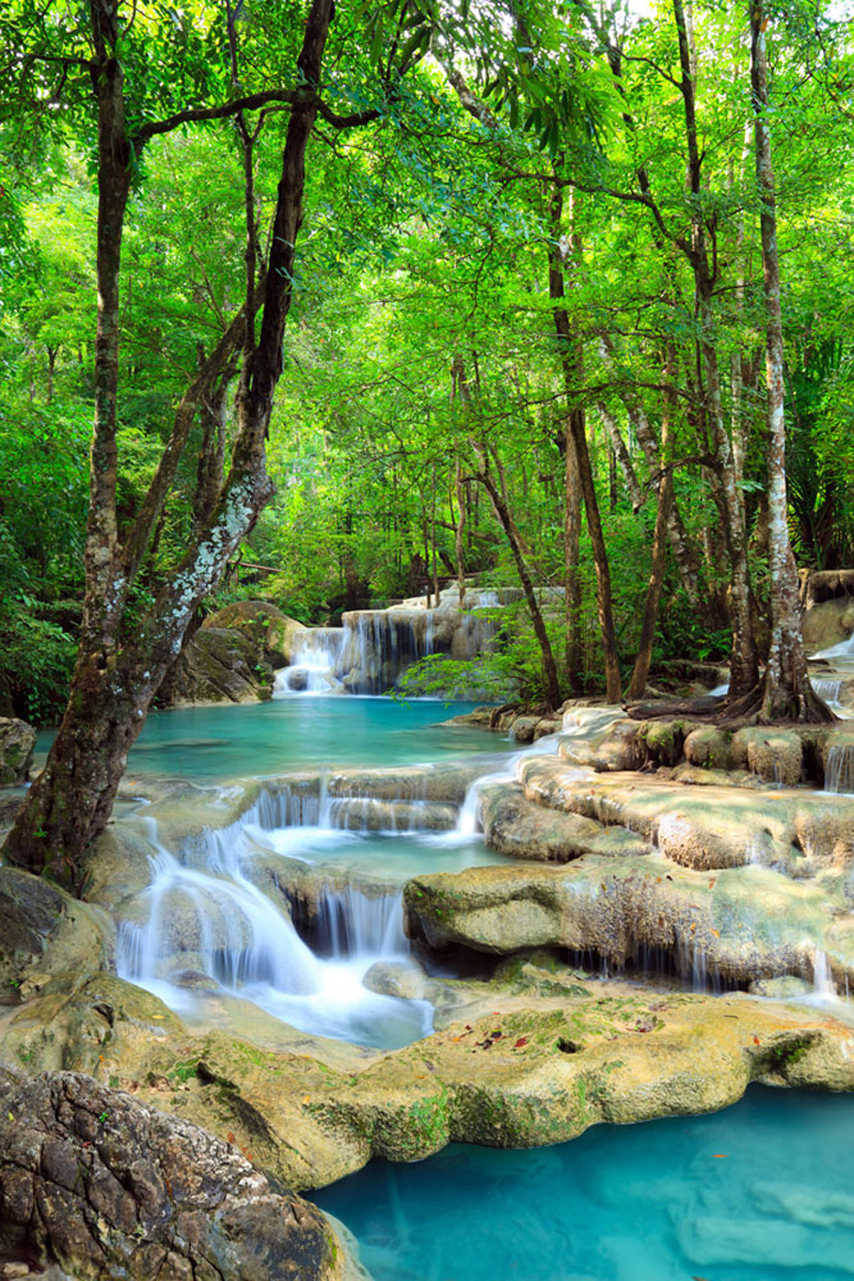 Wasserfall im Wald. Grüne Bäume umgeben einen türkisfarbenen Fluss über Felsen.