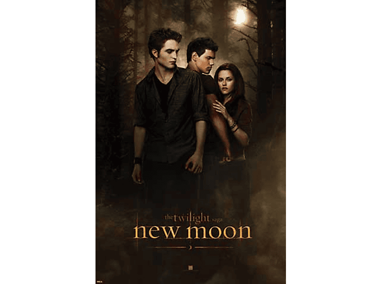 Twilight - New Moon Version 2