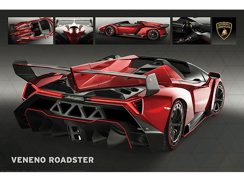 Motorsport - Lamborghini Veneno Roadster