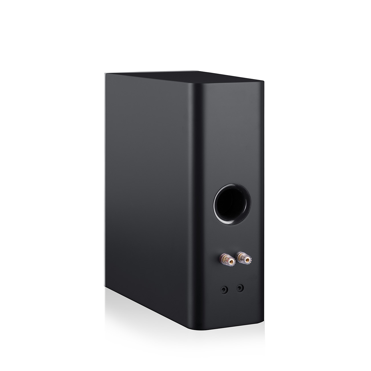 Schwarzer Subwoofer mit kreisförmiger Öffnung und Lautsprecheranschlüssen.