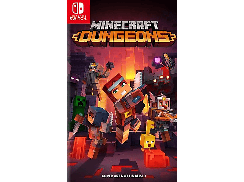 Nintendo Switch  Minecraft Dungeons Nintendo Switch