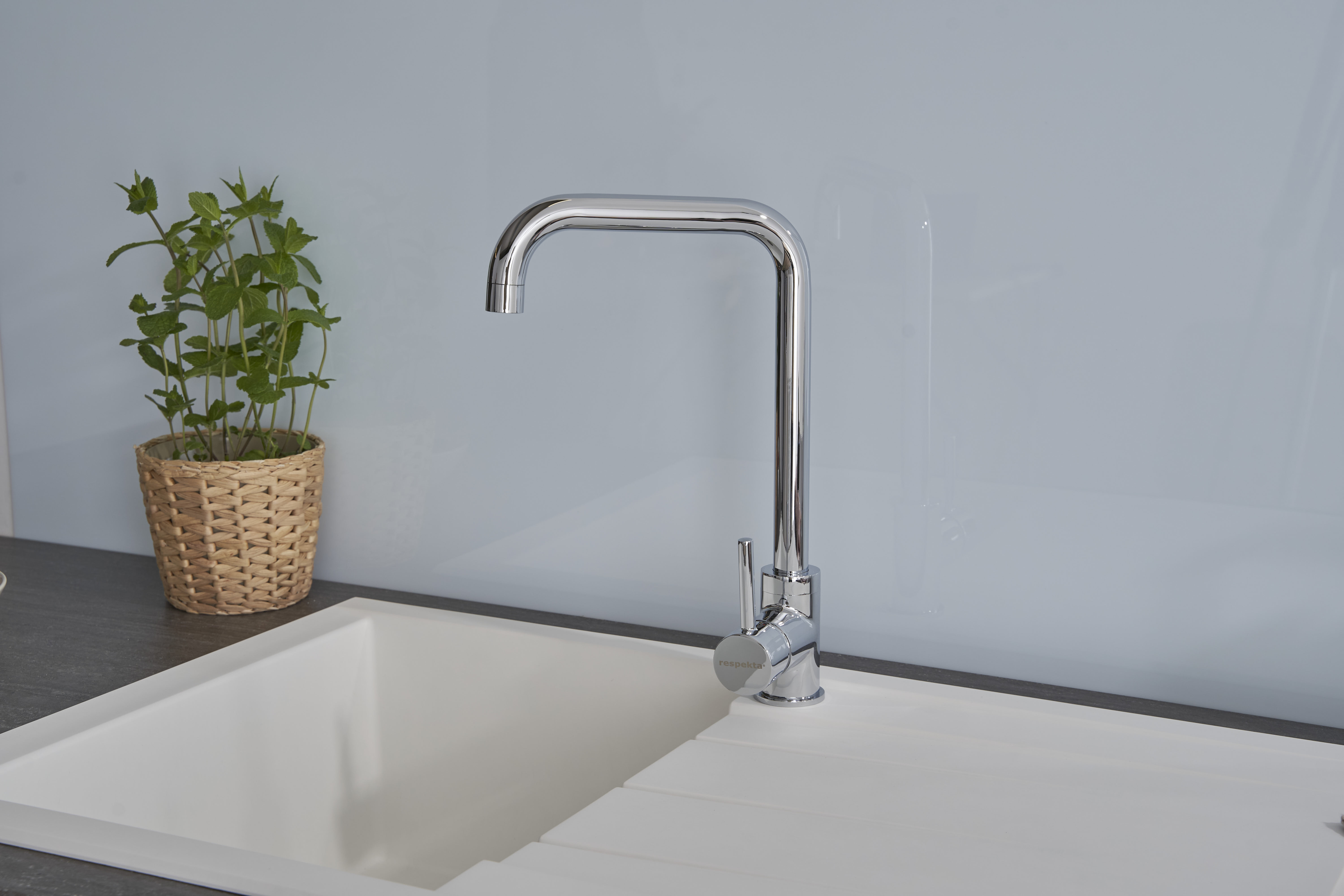 Ein Küchenbecken mit hohem, verchromtem Wasserhahn. Links steht eine kleine Pflanze auf der Theke.