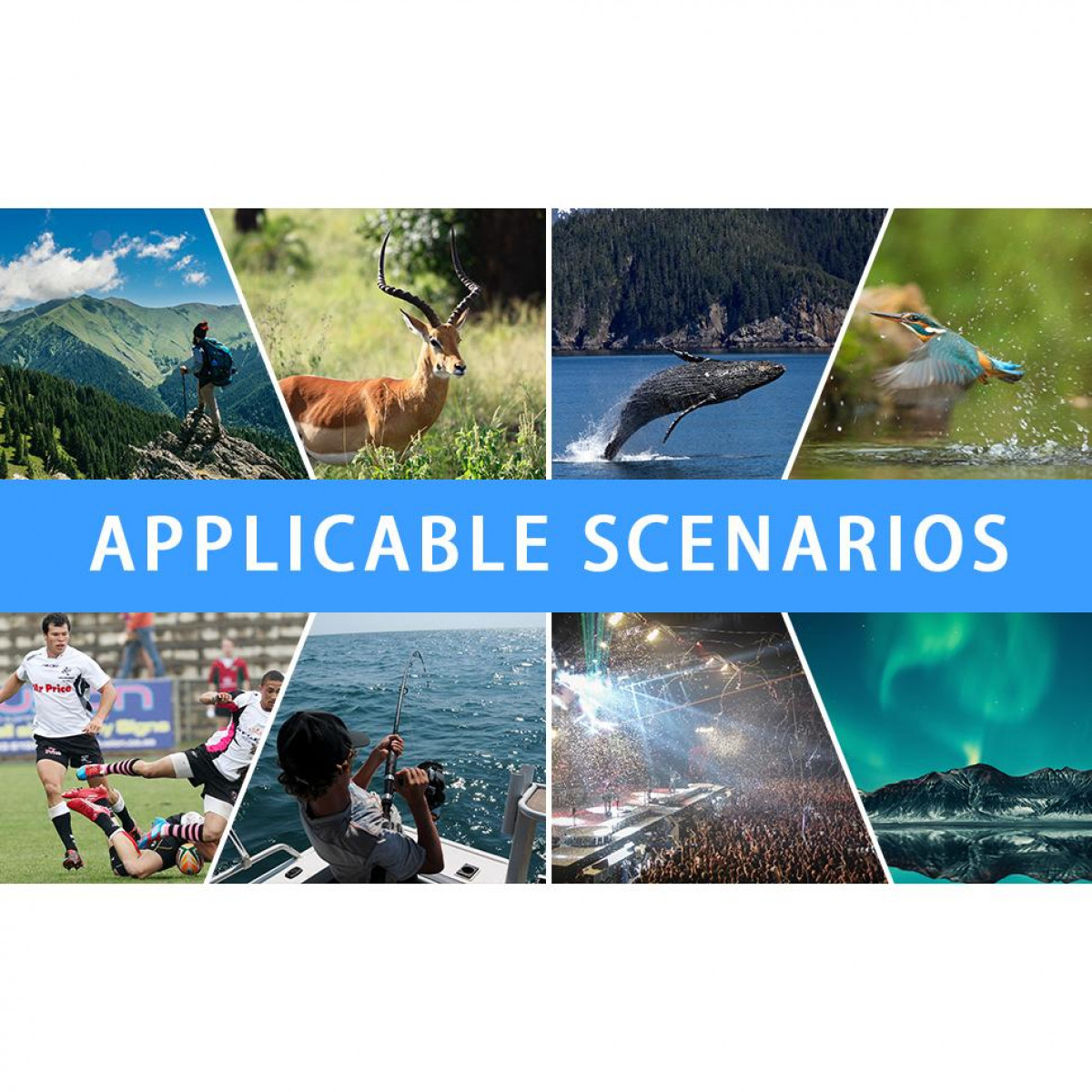 Scene con montagne, cervi, balene, uccelli, rugby, pesca, concerti e aurora boreale.
