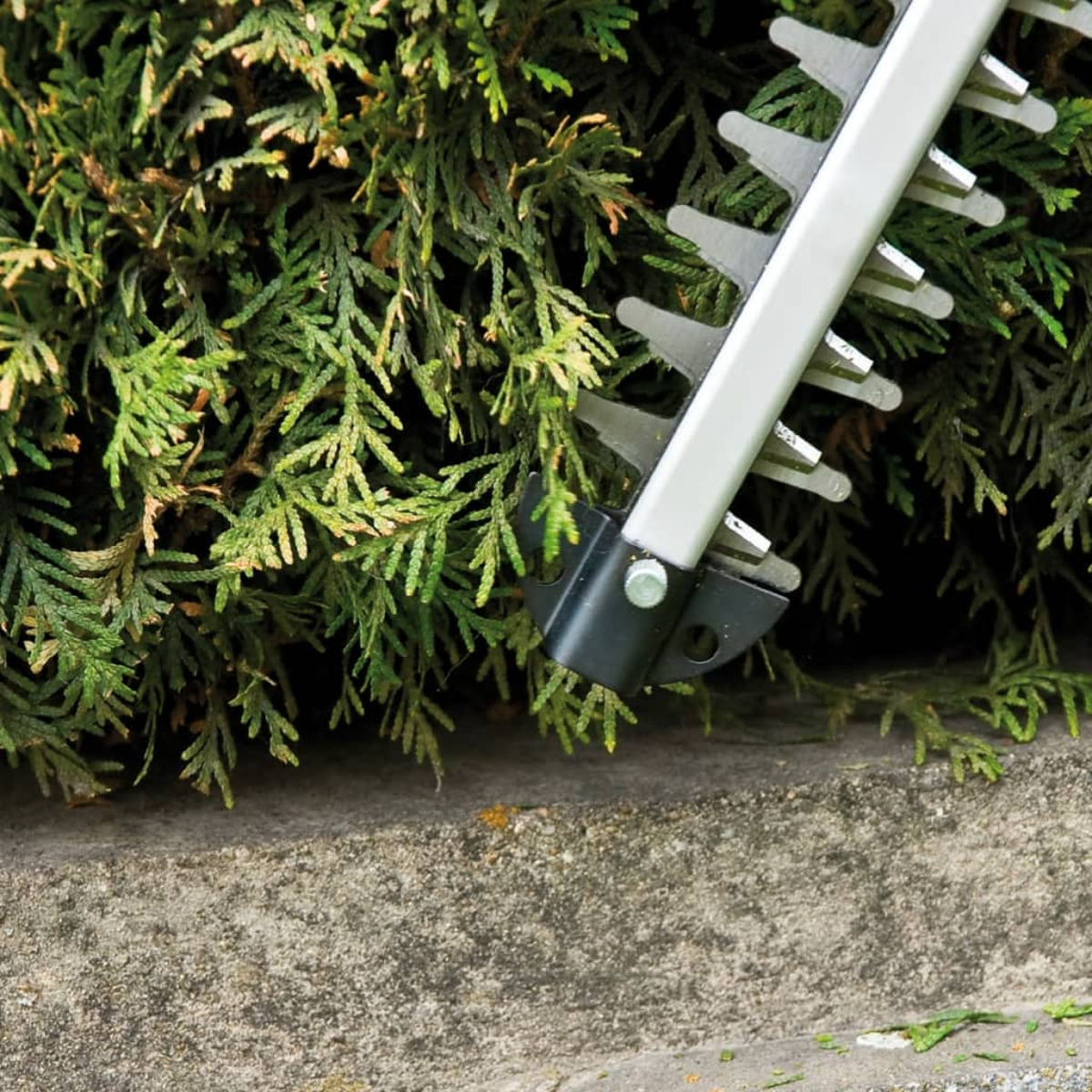 Nożyce do żywopłotu tnące zielony żywopłot. Srebrne ostrza i uchwyt, na betonowej powierzchni.