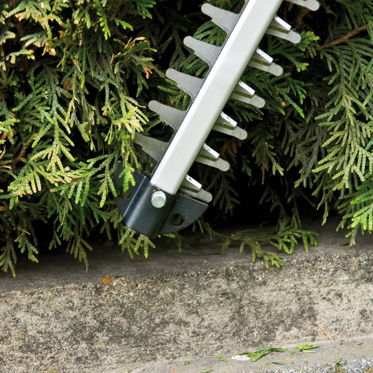 Nożyce do żywopłotu tnące zielone liście, zbliżenie na ostrza.