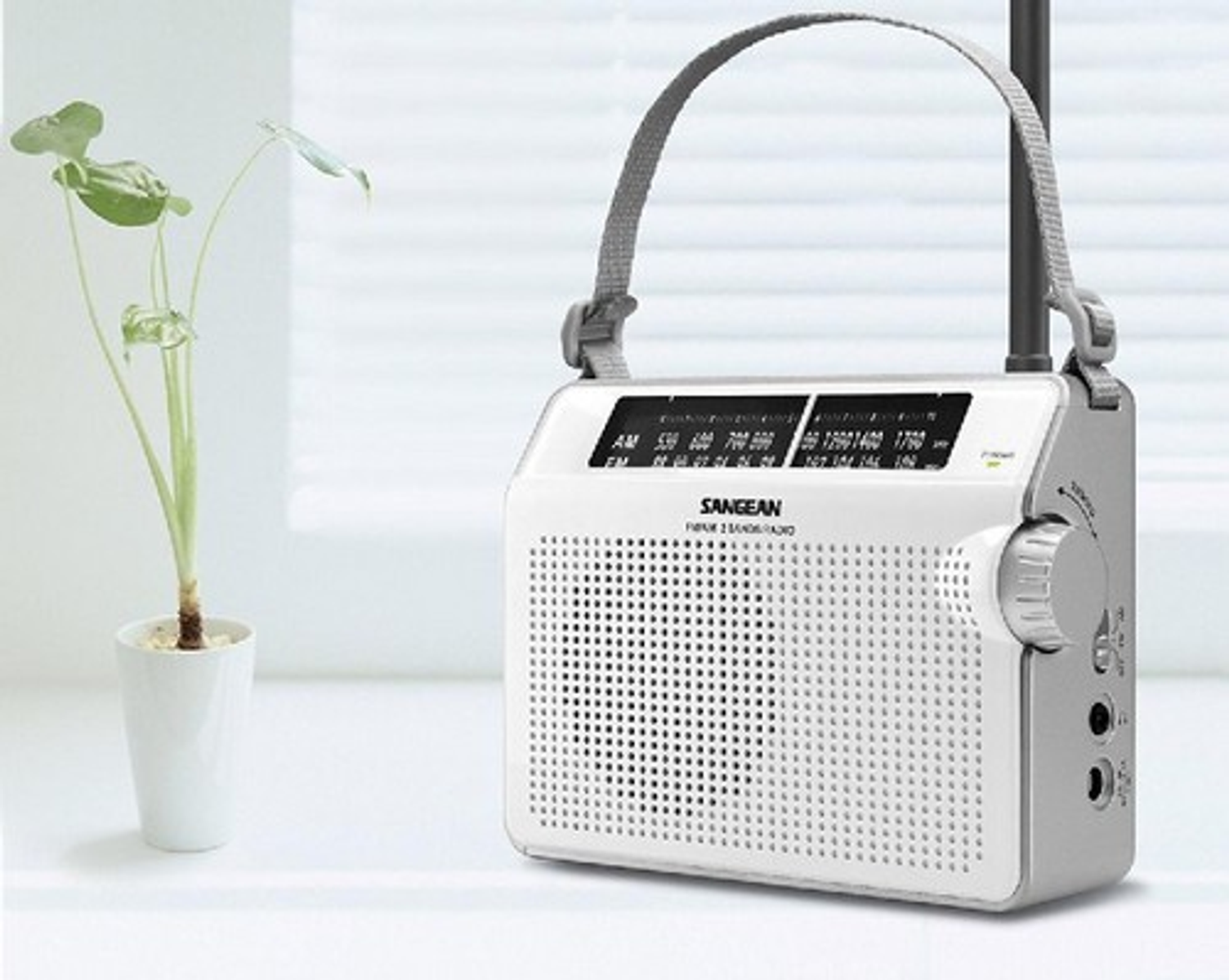 Białe radio z uchwytem i rośliną na białej powierzchni.