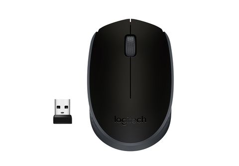 Logitech M171 Wireless Mouse (Rose) - Souris bureautique - Top Achat