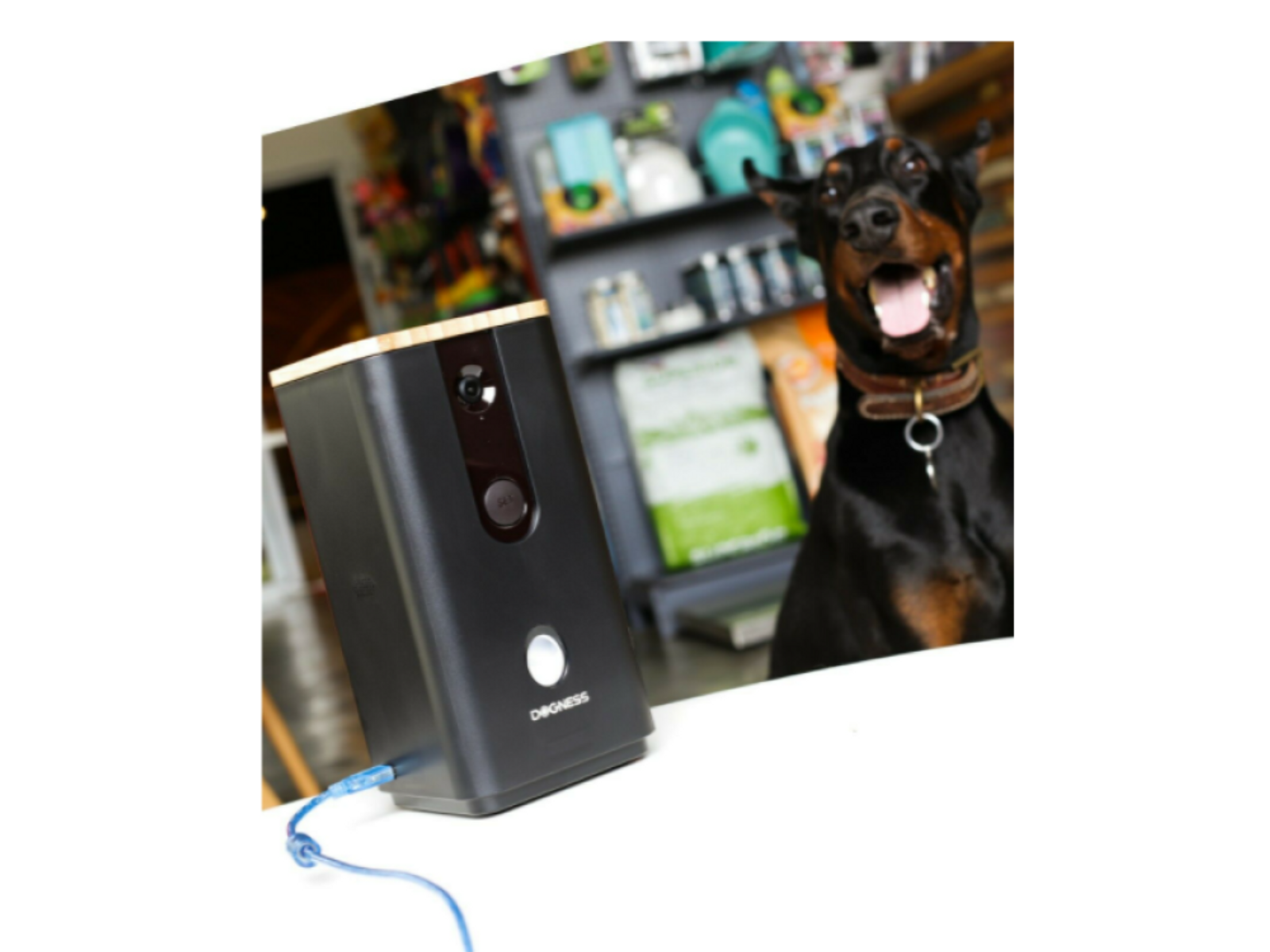 Dispositivo nero con un cane sullo sfondo. Il cane guarda la fotocamera.
