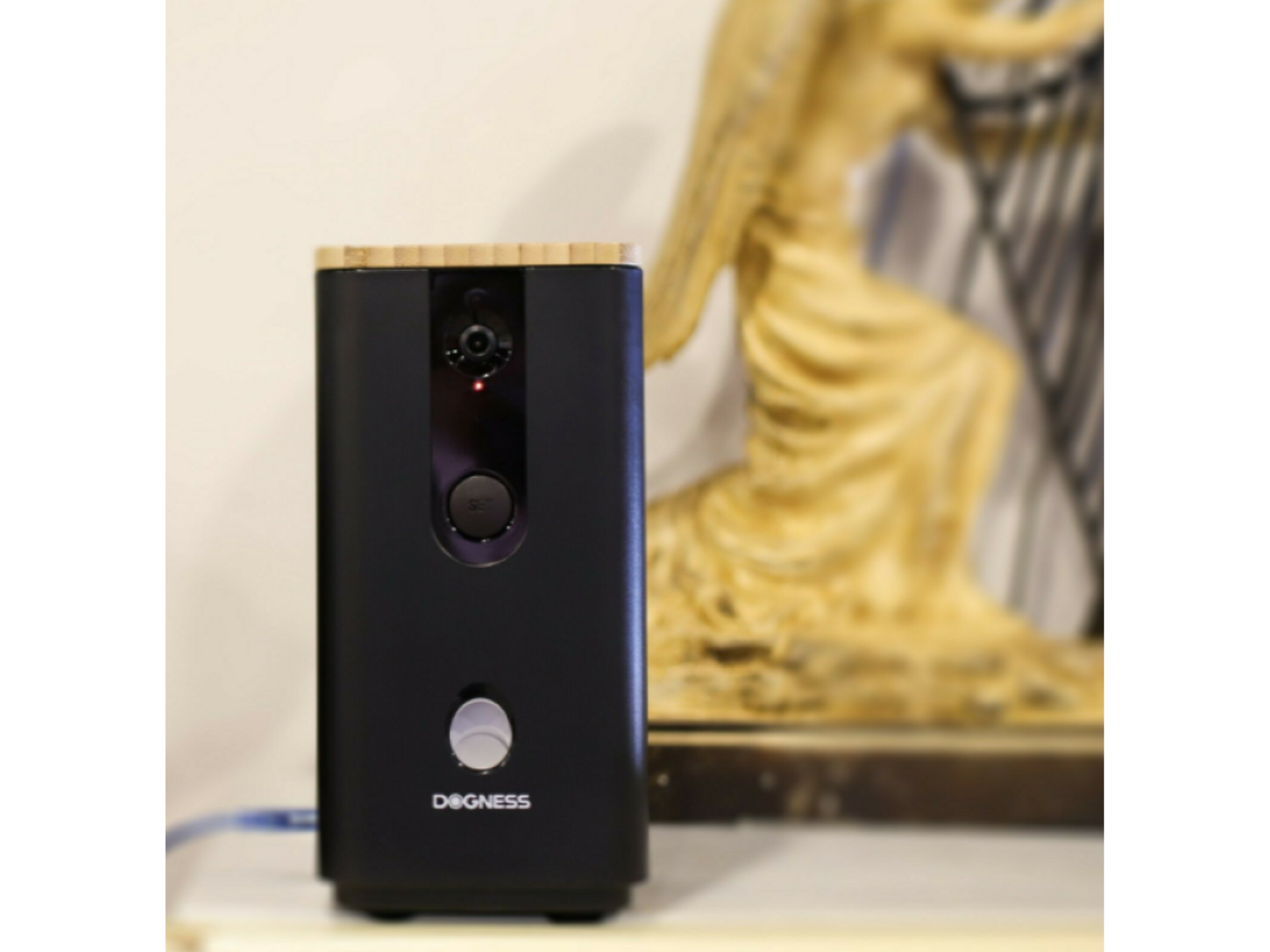 Telecamera per cani nera con parte superiore in legno. Sfondo con statua.