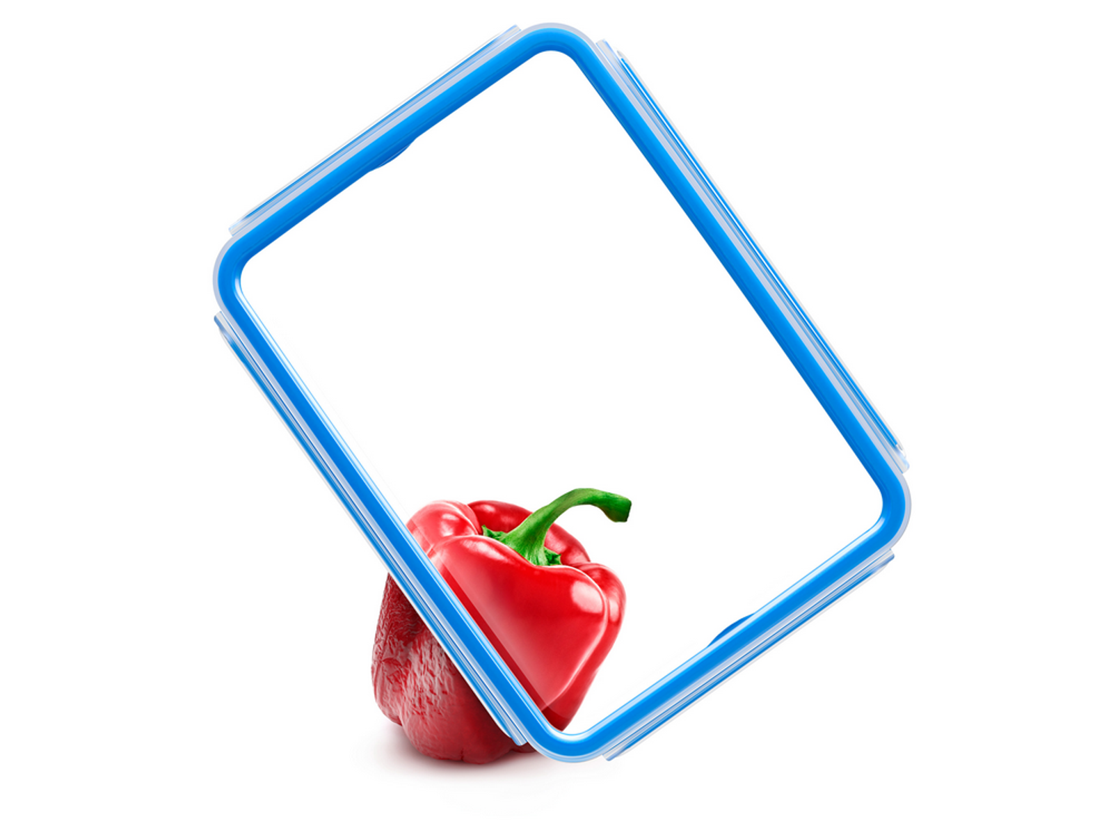 Rote Paprika in blauem rechteckigem Behälterrahmen auf weißem Hintergrund.