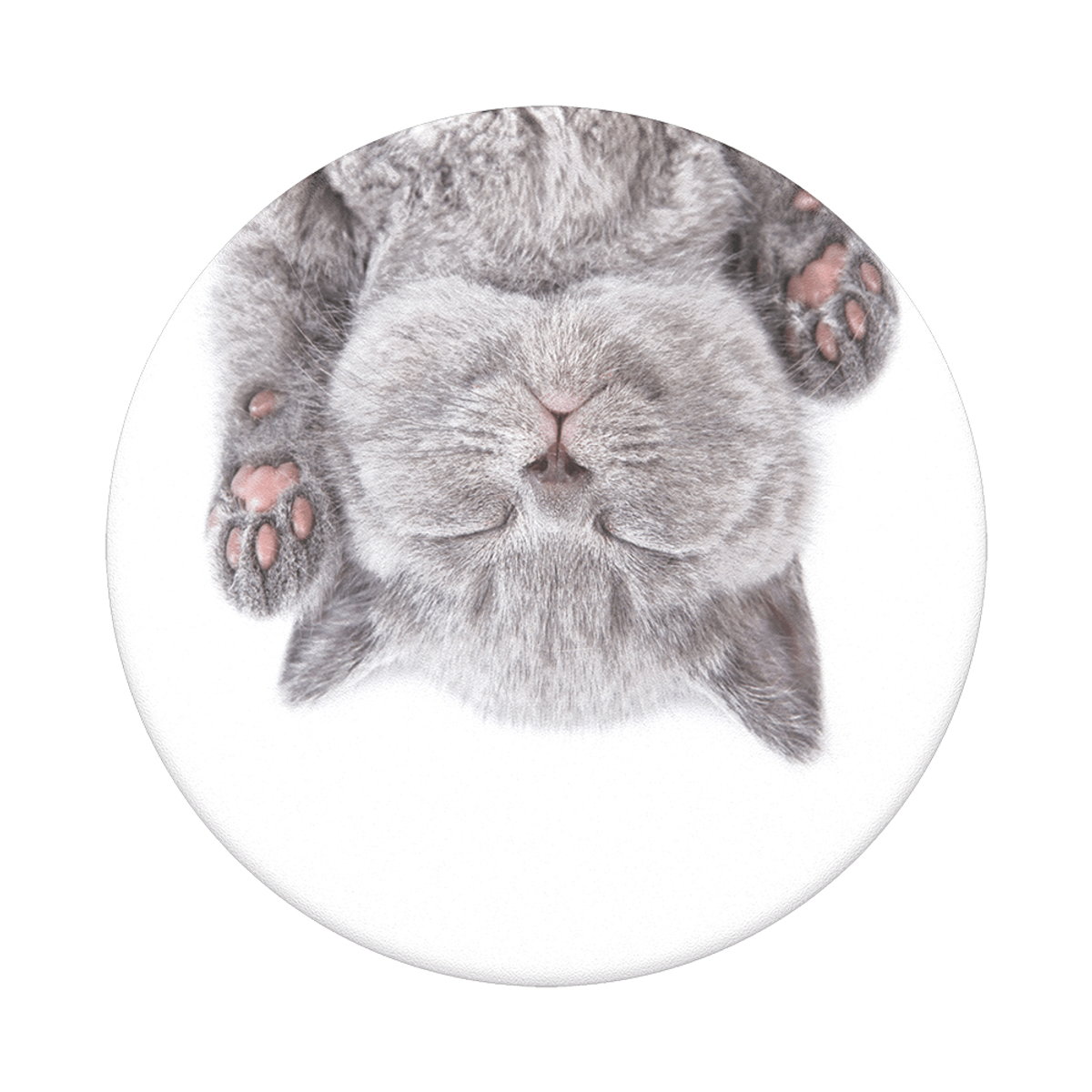 POPGRIP CAT Handyhalterung, Mehrfarbig NAP POPSOCKETS 90005