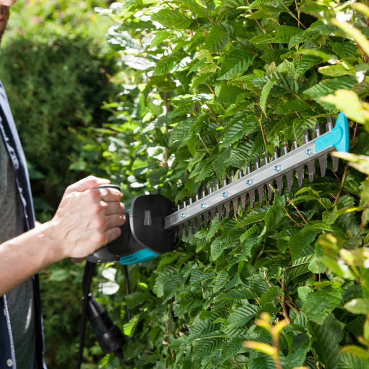 Mann schneidet mit einem elektrischen Trimmer eine grüne Hecke. Hintergrund ist ein grüner Busch.