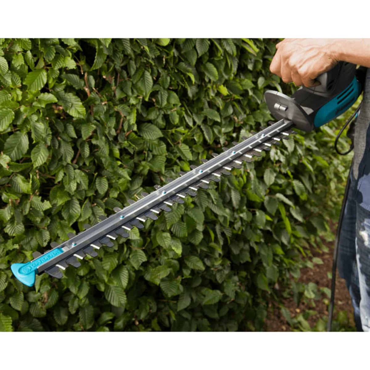 Nahaufnahme der Heckenscherenklinge, die eine grüne Hecke schneidet. Hand eines Mannes, der den Trimmer hält.