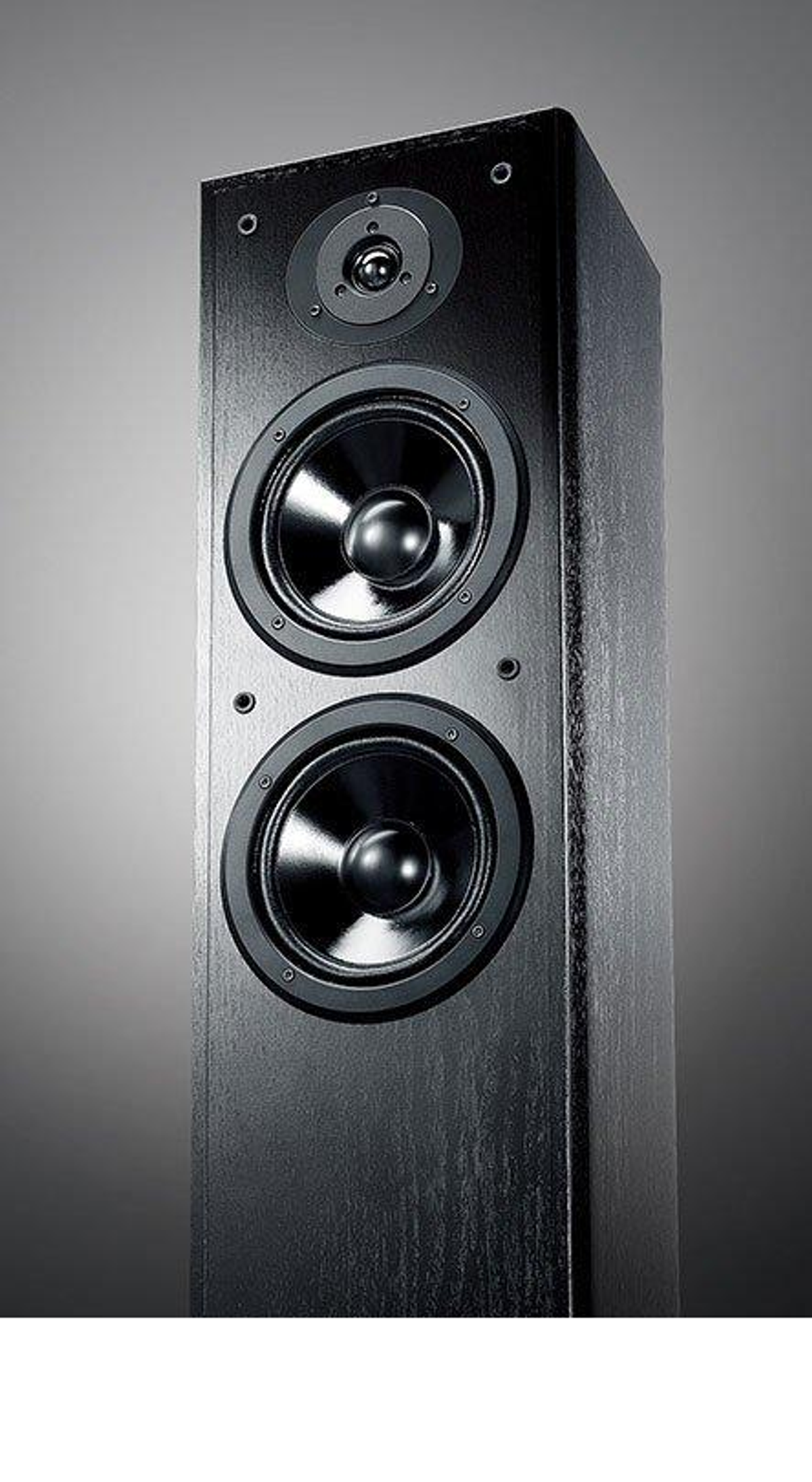 Altavoz negro con dos altavoces y un tweeter. Fondo gris. Primer plano.