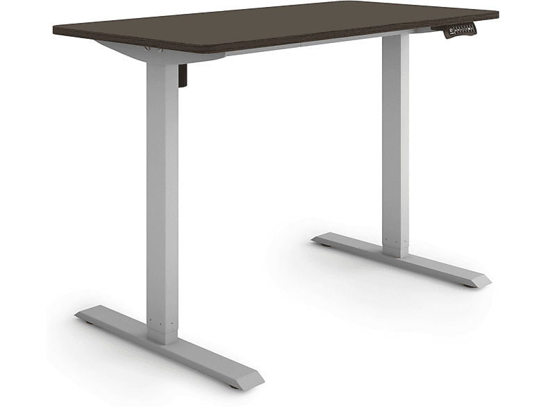 ESMART ETX-121GE 120 x 60 cm elektrisch höhenverstellbarer Schreibtisch | Schreibtische