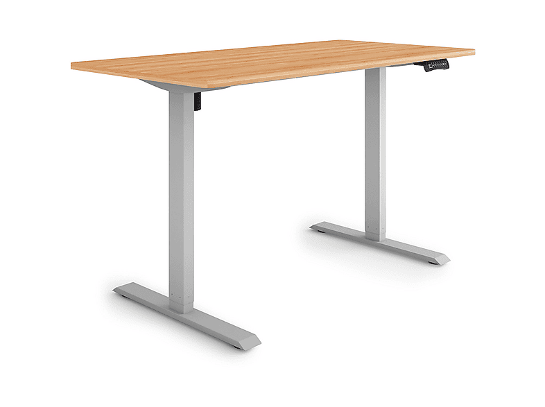 ESMART ETX-121GW Auf Rollen 160 X 80 Cm Elektrisch Höhenverstellbarer