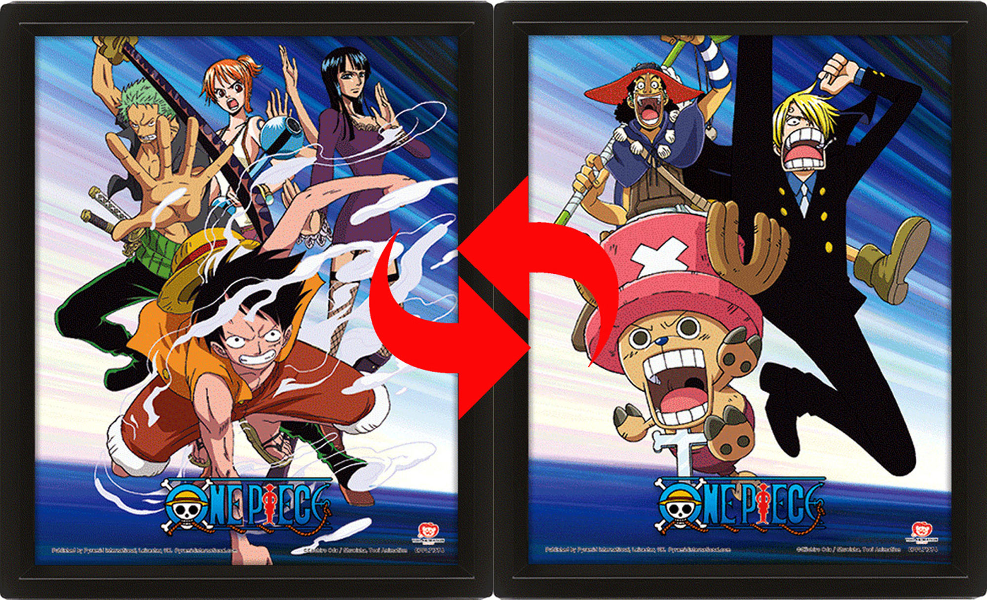 One Piece - Pirates Assault Hat Straw