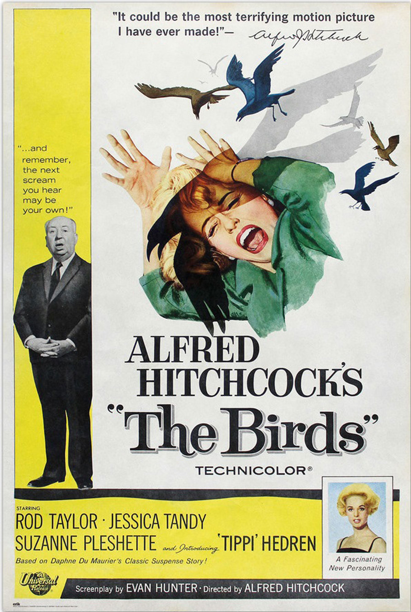 Alfred - Vögel Hitchcock, Die