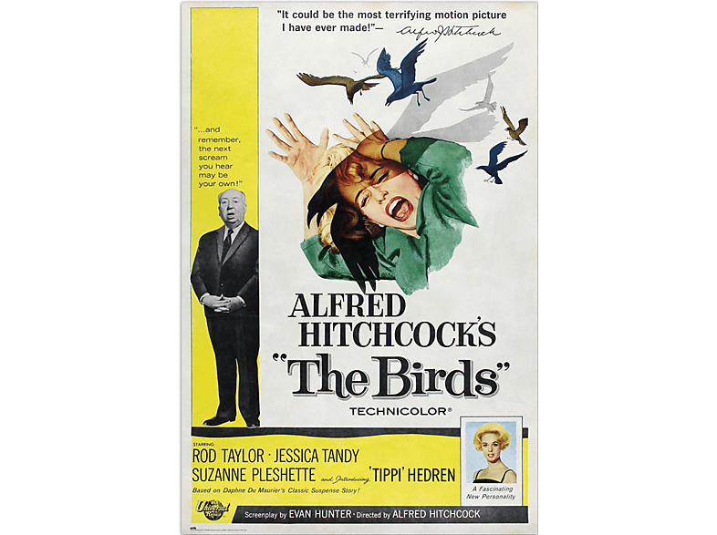 Hitchcock, Alfred Vögel Die -