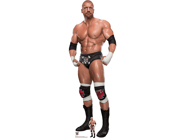 WWE - Wrestling - Triple H. - Pappaufsteller