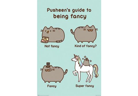 pusheens guide to being fancy