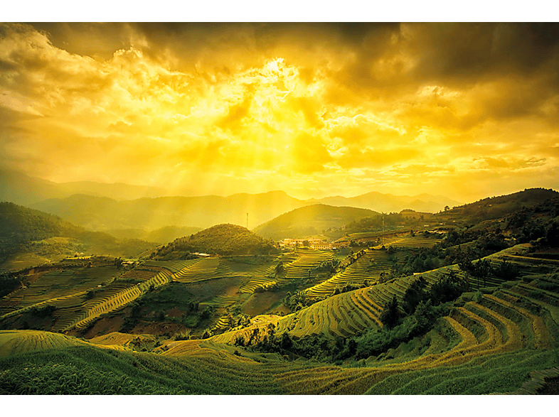 Landschaften - Bai Yen Rice Of Fields
