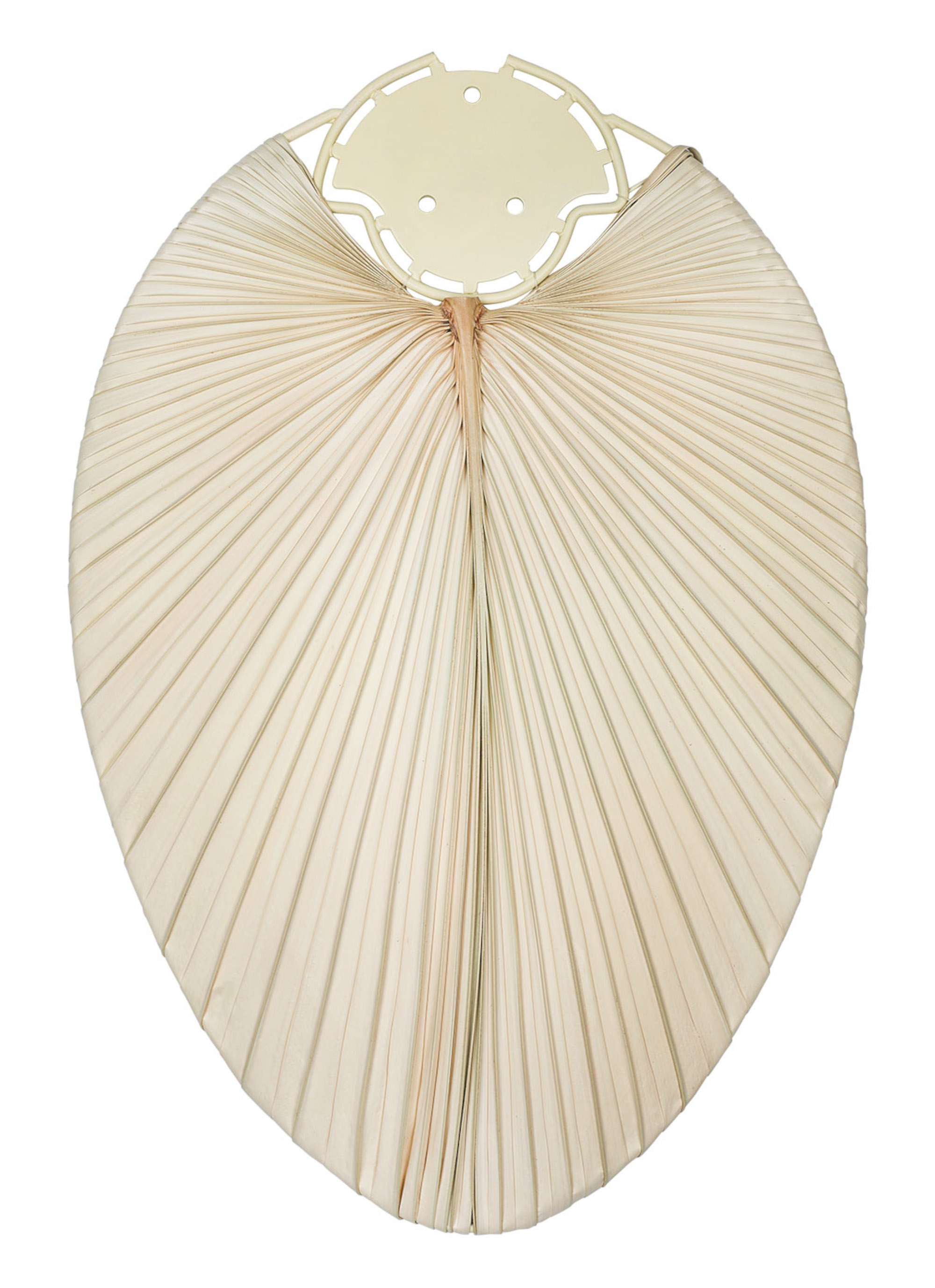 Pala del ventilatore, colore beige chiaro, forma ovale.