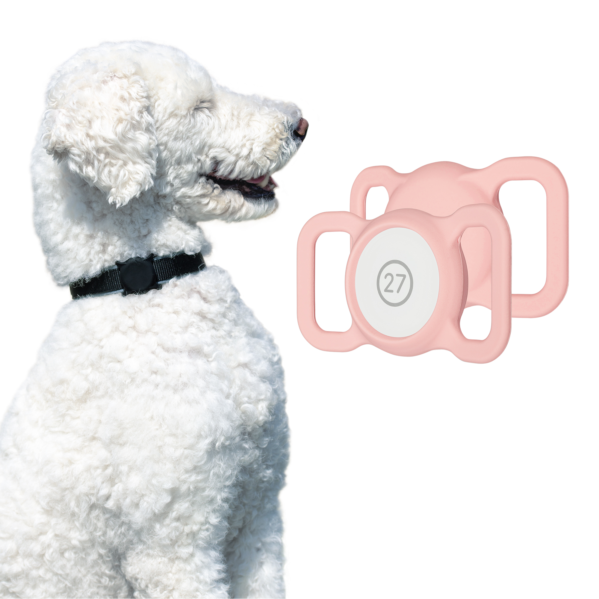 ARTWIZZ PetStrap Befestigung von Apple Halterung Halsband als AirTag GPS-Tracker Pink 2x