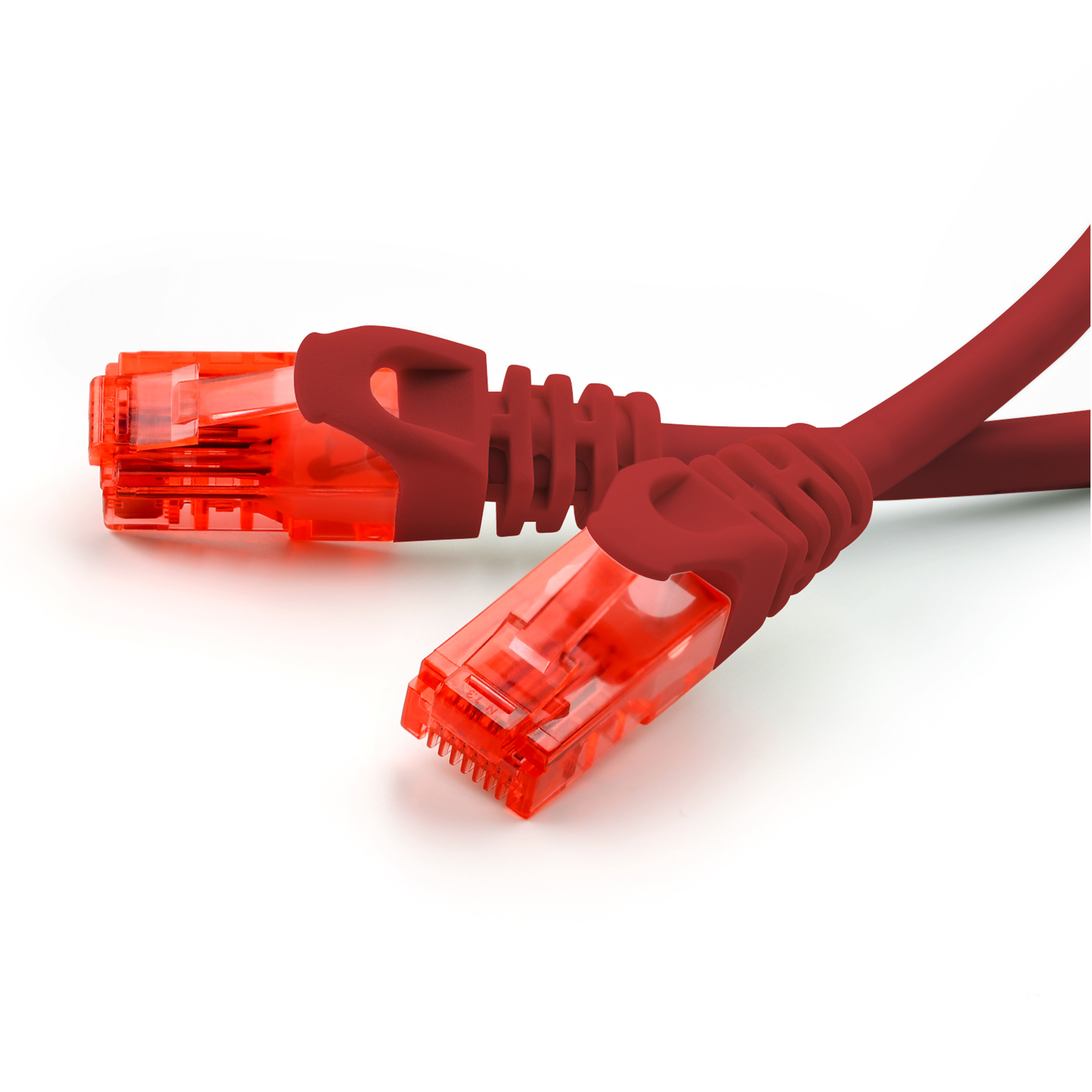 Zwei rote Netzwerkkabel mit transparenten Steckern vor weißem Hintergrund. Die Kabel sind gebogen.