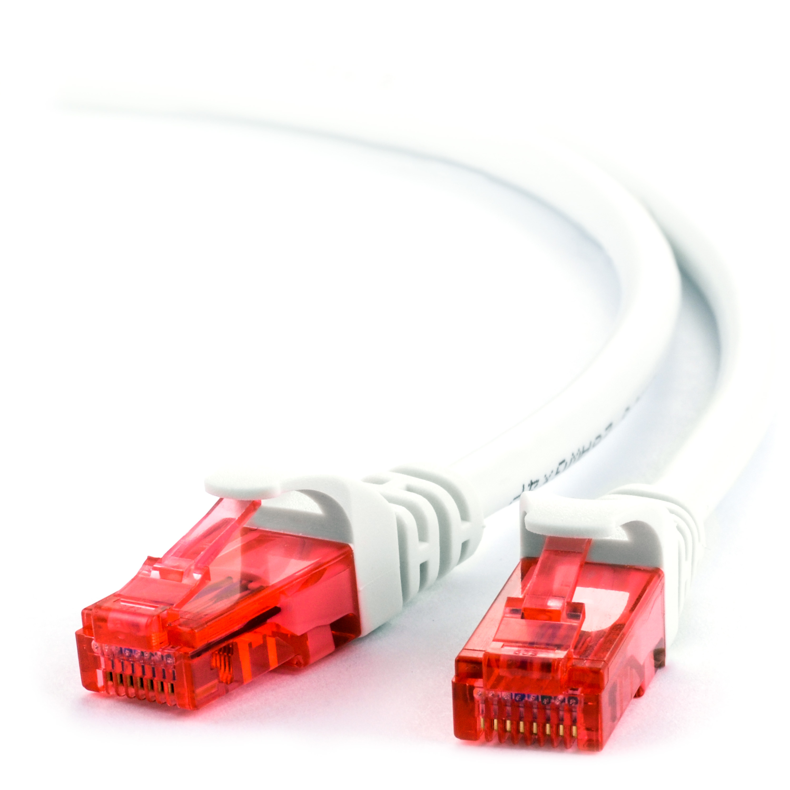 Zwei weiße Netzwerkkabel mit roten Steckern, vor weißem Hintergrund.