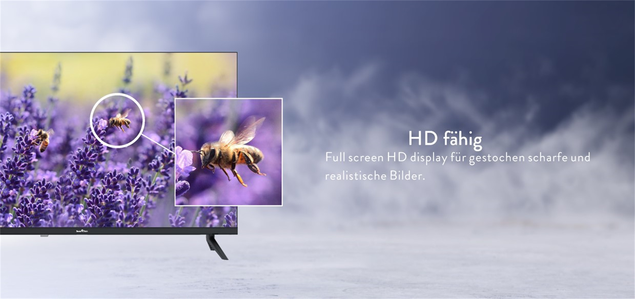Un televisor muestra un primer plano de una abeja en una flor de lavanda.