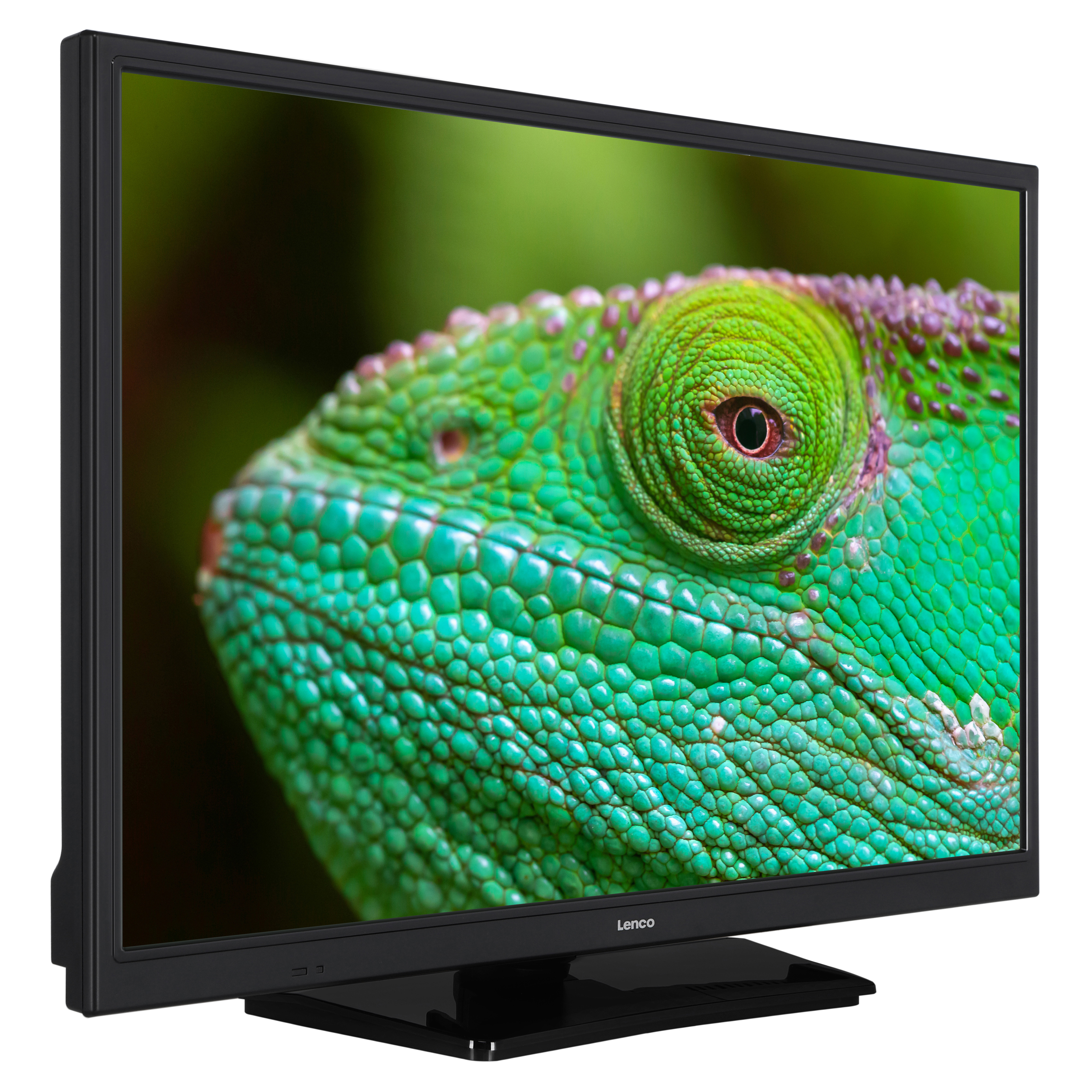 Tv-scherm met het oog van een kameleon. Groene en bruine kleuren. Zwart frame. Vage achtergrond.