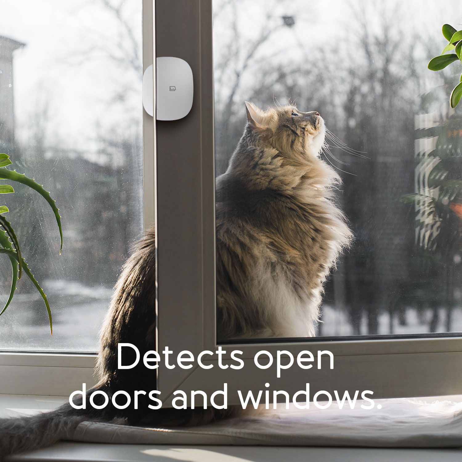 Multipurpose Sensor Weiß Tür-Fenster-Kontakt AEOTEC SMARTTHINGS SmartThings Zigbee