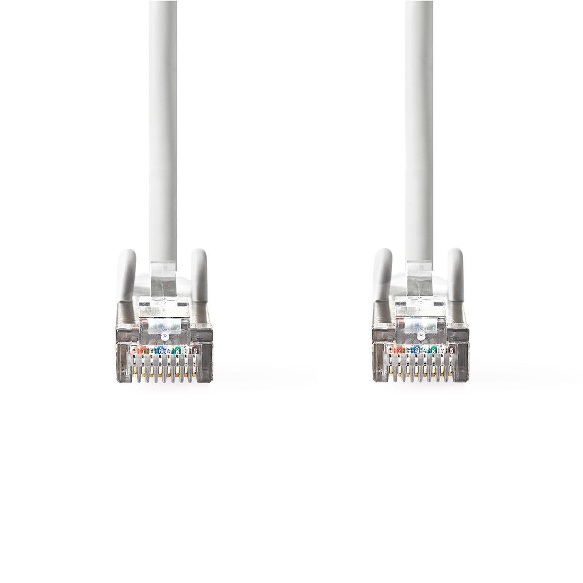 Twee witte netwerkkabels met transparante RJ45-connectoren op witte achtergrond.