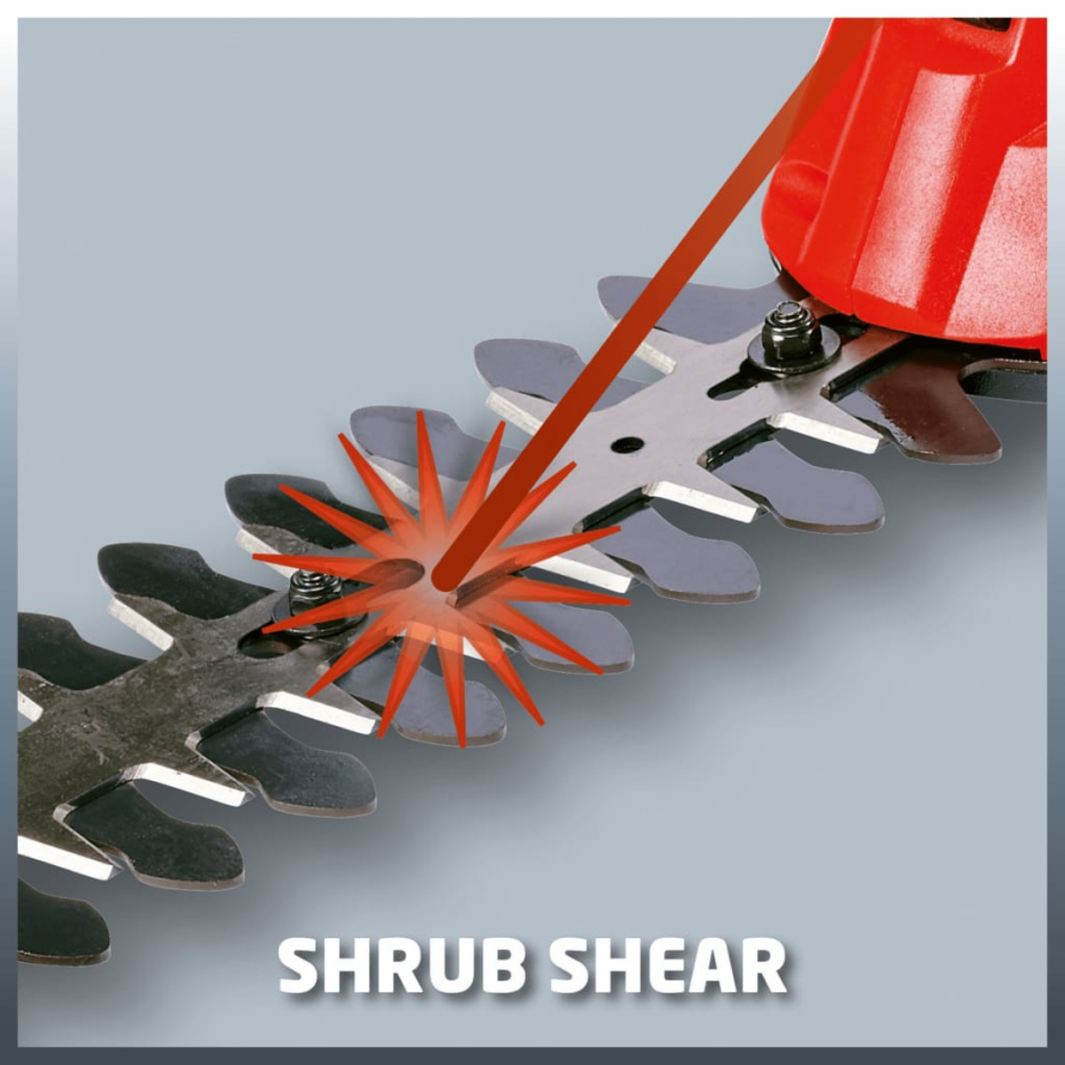 Nahaufnahme einer Heckenscheren-Klinge. Rote Linie zeigt Schneidefunktion. Text: SHRUB SHEAR.