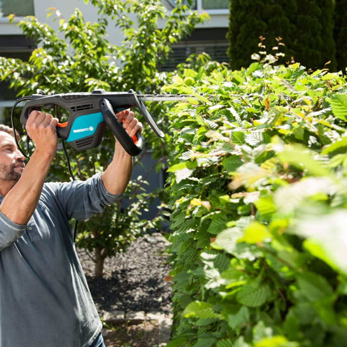 Ein Mann, der eine Heckenschere an einer Hecke benutzt. Die Hecke ist grün, und die Heckenschere ist türkis und schwarz.
