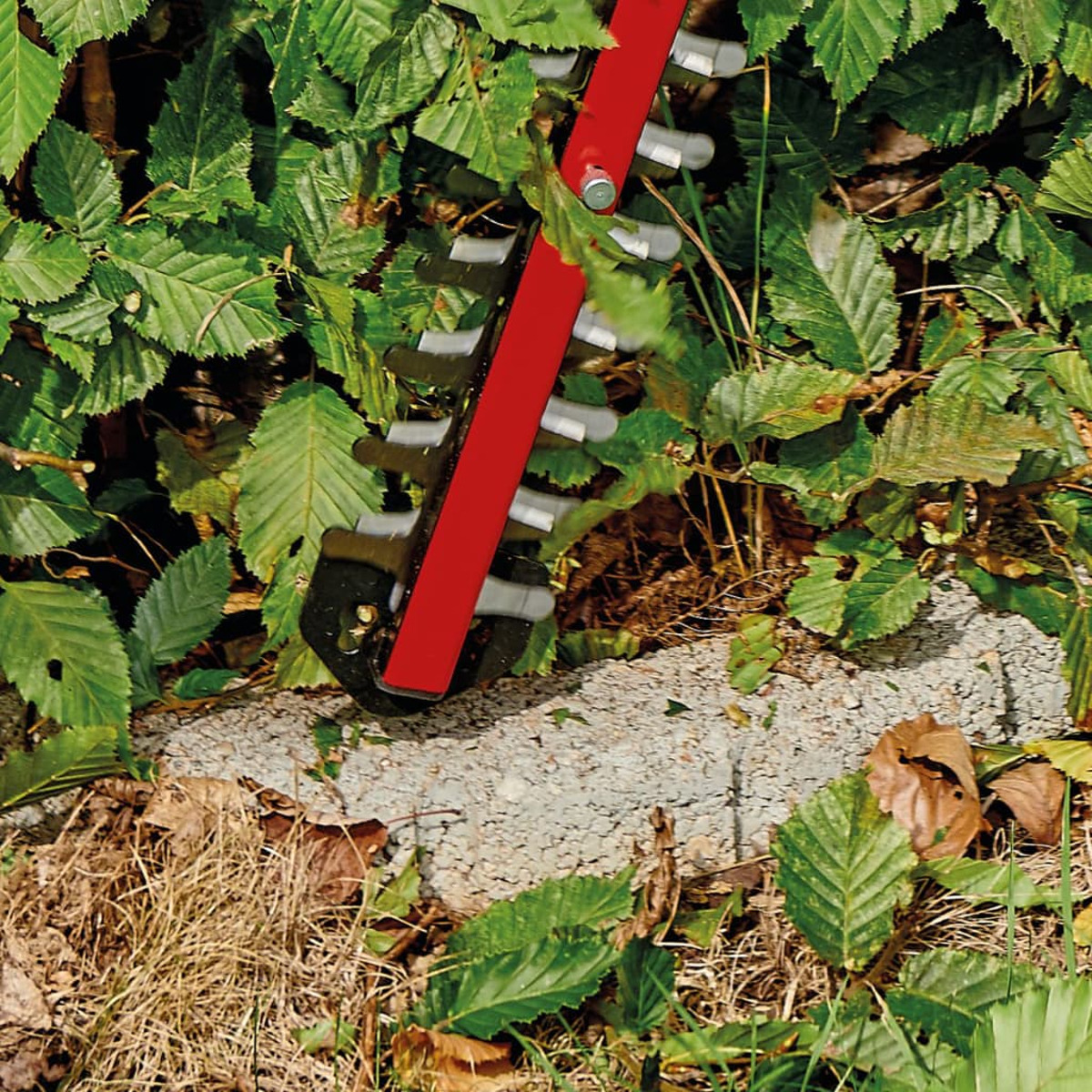 Li-Solo GE-CH Akku-Heckenschere 18/60 Rot EINHELL